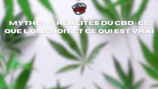 Mythes & réalités du CBD : ce qu’on croit… et ce qui est vrai