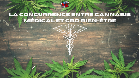 La concurrence entre cannabis médical et CBD bien-être