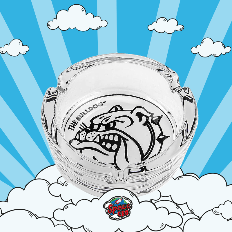 cendrier en verre bulldog