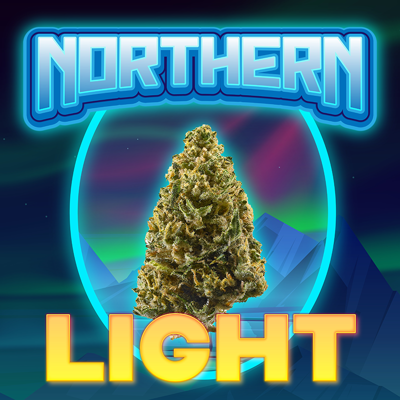 Fleur cbd Nothern Light