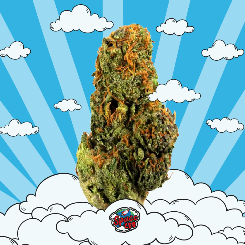 Fleur cbd orange Bud