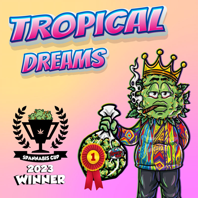 fleur CBD tropical dream