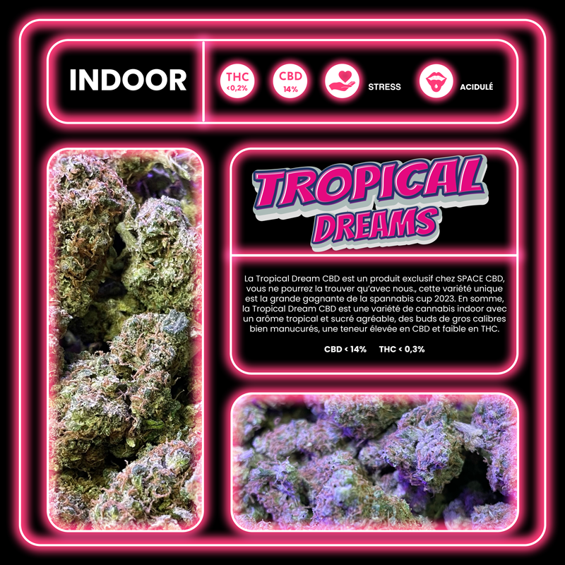 fleur CBD tropical dream description