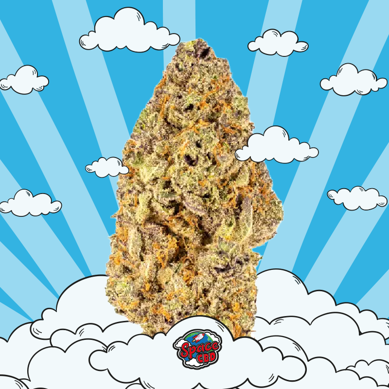 fleur CBD tropical dream
