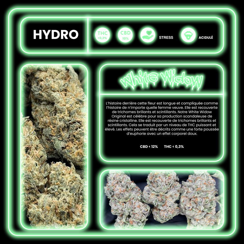 Fleur cbd White Widow description