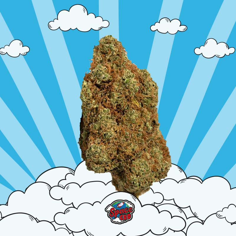 Fleur Gorilla Mandarina CBC