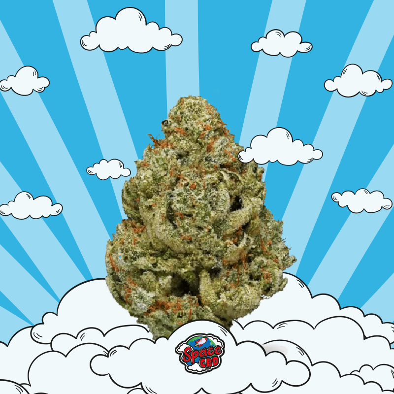 Zeus Og