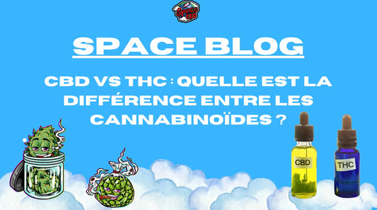 CBD vs THC : Quelles différences entre ces cannabinoïdes ? Space CBD France