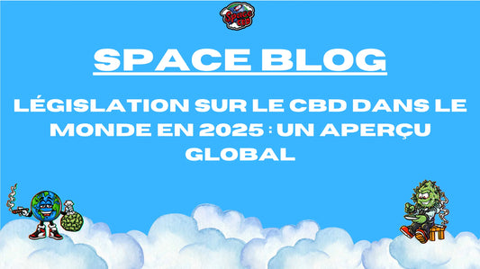Législation sur le CBD dans le monde en 2025 : Un aperçu global Space CBD France