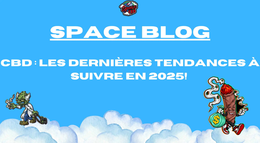 CBD : Les Dernières Tendances à Suivre en 2025! Space CBD France