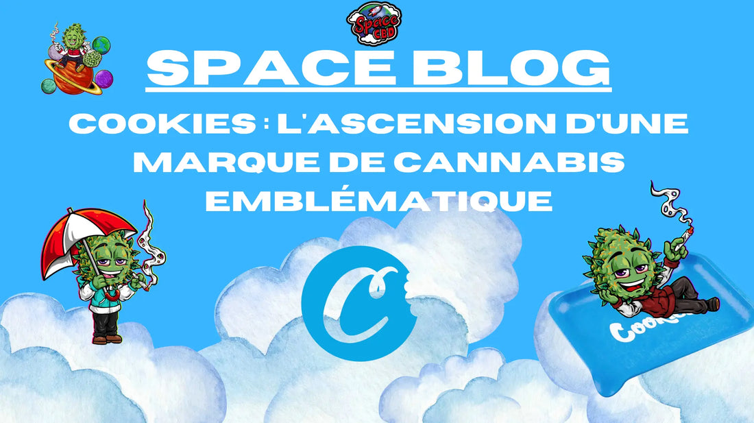Cookies : L'ascension d'une marque de cannabis emblématique Space CBD France
