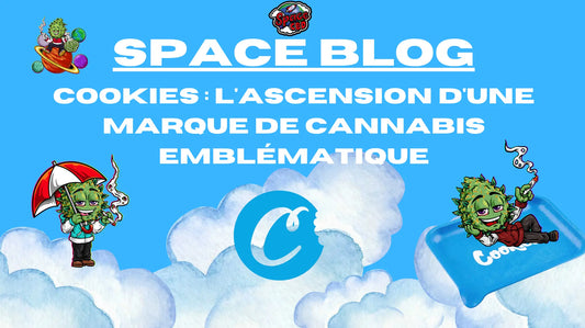 Cookies : L'ascension d'une marque de cannabis emblématique Space CBD France