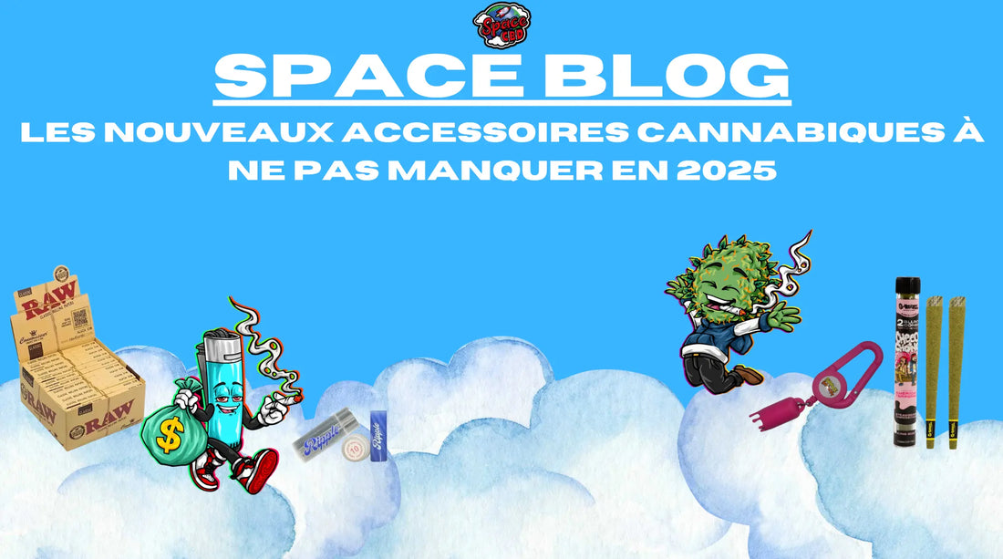 Les Nouveaux Accessoires Cannabiques à Ne Pas Manquer en 2025 Space CBD France