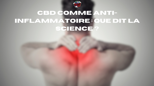CBD comme anti-inflammatoire : que dit la science ?