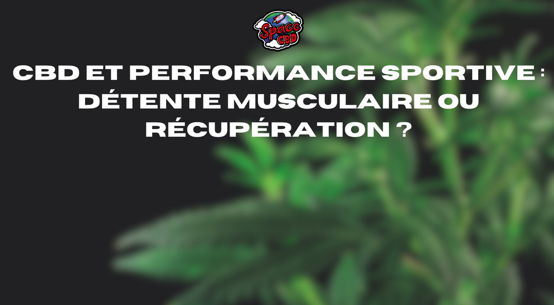 Les différentes formes de CBD : comment bien choisir selon ses besoins ?