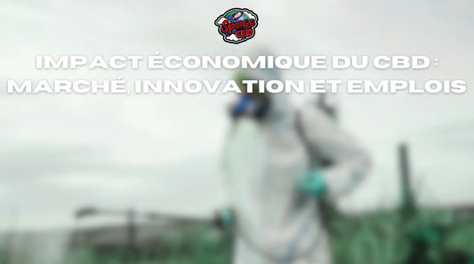 Impact économique du CBD : marché, innovation et emplois Space CBD France