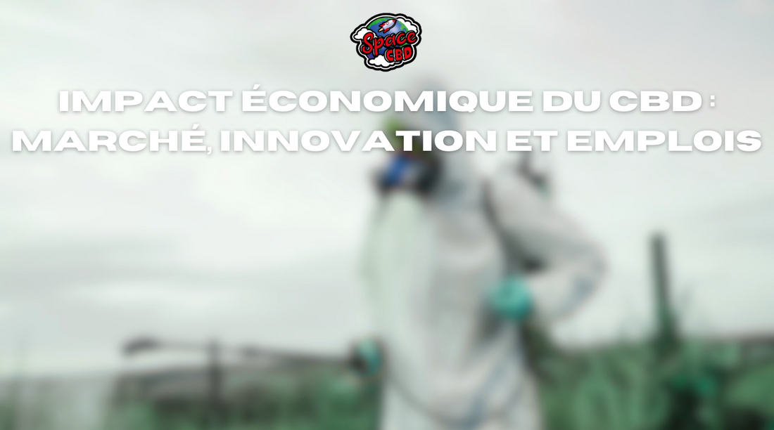 Impact économique du CBD : marché, innovation et emplois