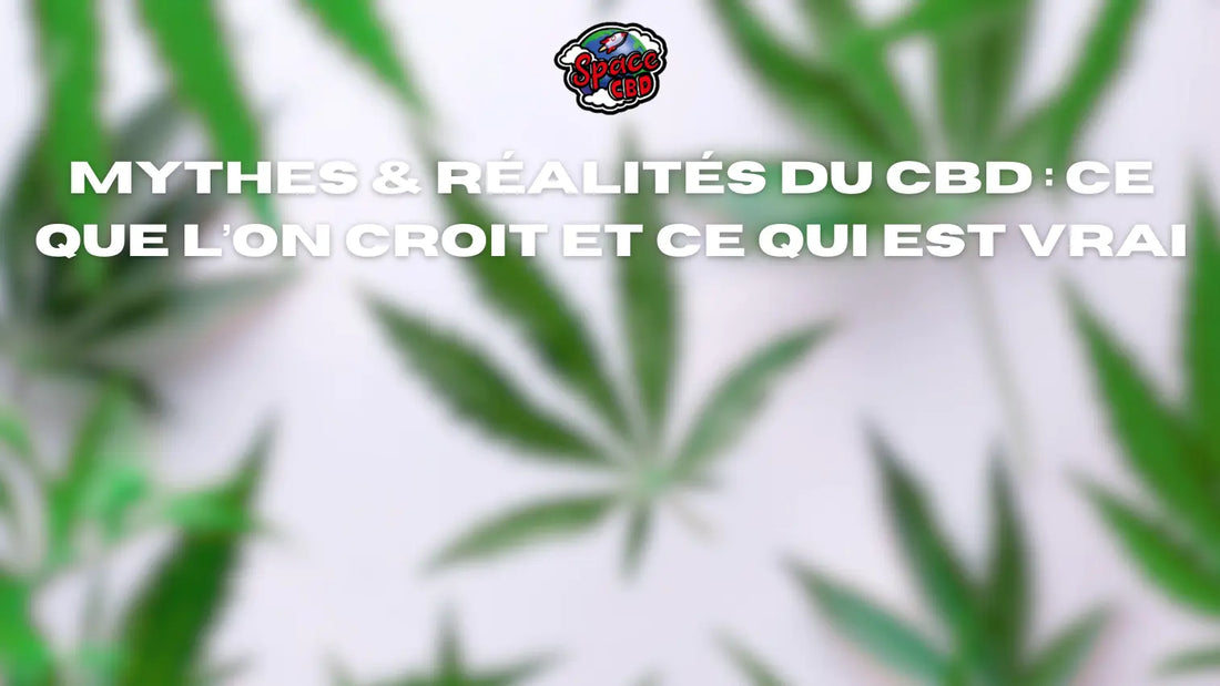 Mythes & réalités du CBD : ce qu’on croit… et ce qui est vrai Space CBD France