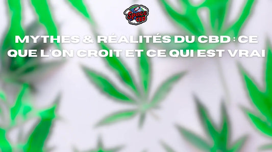 Comment bien doser le CBD selon son poids, ses besoins et sa sensibilité Space CBD France