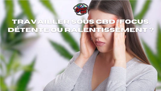 Travailler sous CBD : focus, détente ou ralentissement ?