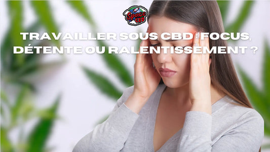 Travailler sous CBD : focus, détente ou ralentissement ? Space CBD France