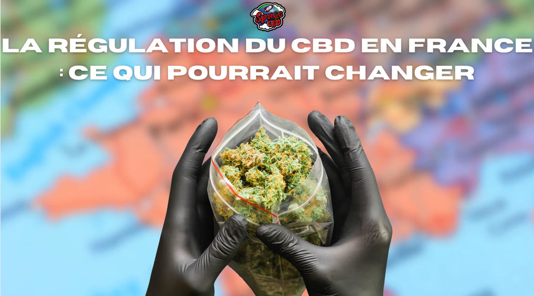 La régulation du CBD en France : ce qui pourrait changer Space CBD France