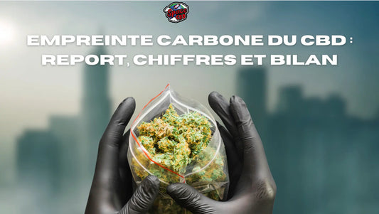 Empreinte carbone du CBD : report, chiffres et bilan Space CBD France