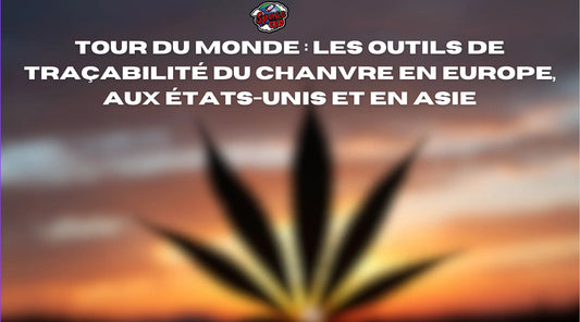 Tour du monde : les outils de traçabilité du chanvre en Europe, aux États-Unis et en Asie Space CBD France