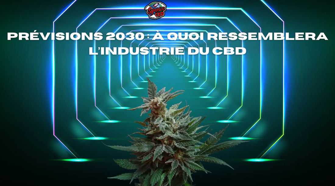 Prévisions 2030 : à quoi ressemblera l’industrie du CBD Space CBD France