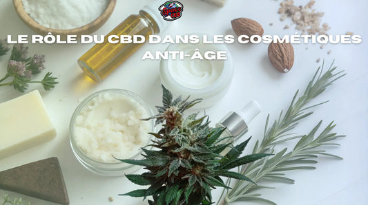 Le rôle du CBD dans les cosmétiques anti-âge Space CBD France