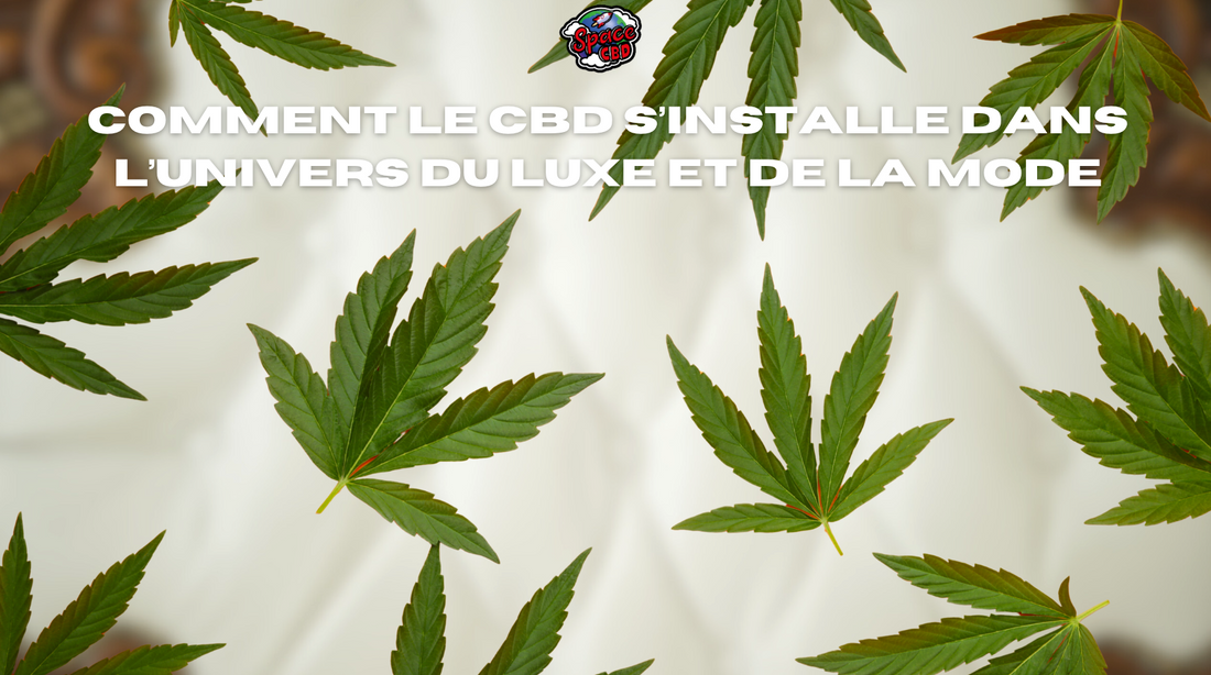 Comment le CBD s’installe dans l’univers du luxe et de la mode