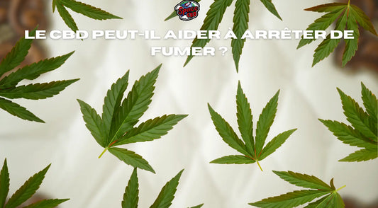 Le CBD peut-il aider à arrêter de fumer ? Space CBD France
