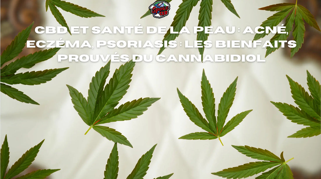 CBD et santé de la peau : acné, eczéma, psoriasis : les bienfaits prouvés du cannabidiol Space CBD France