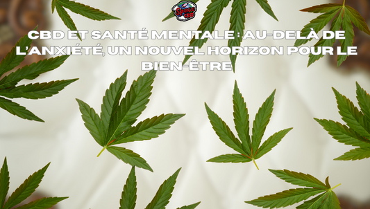 CBD et santé mentale : au-delà de l’anxiété, un nouvel horizon pour le bien-être