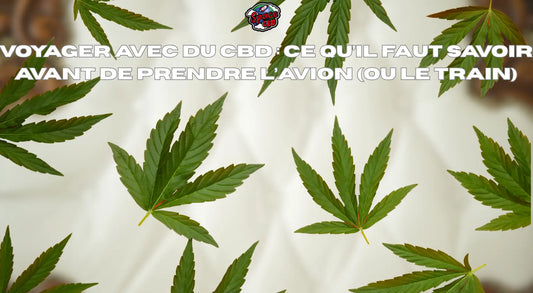 Voyager avec du CBD : ce qu’il faut savoir avant de prendre l’avion (ou le train) Space CBD France