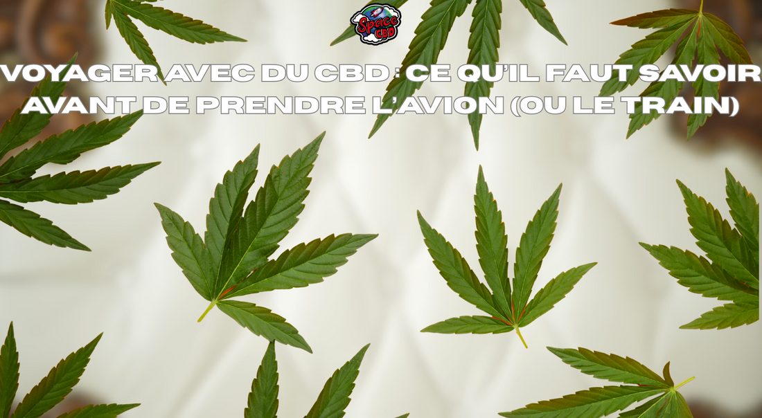 Voyager avec du CBD : ce qu’il faut savoir avant de prendre l’avion (ou le train)