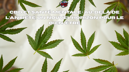 CBD et santé mentale : au-delà de l’anxiété, un nouvel horizon pour le bien-être