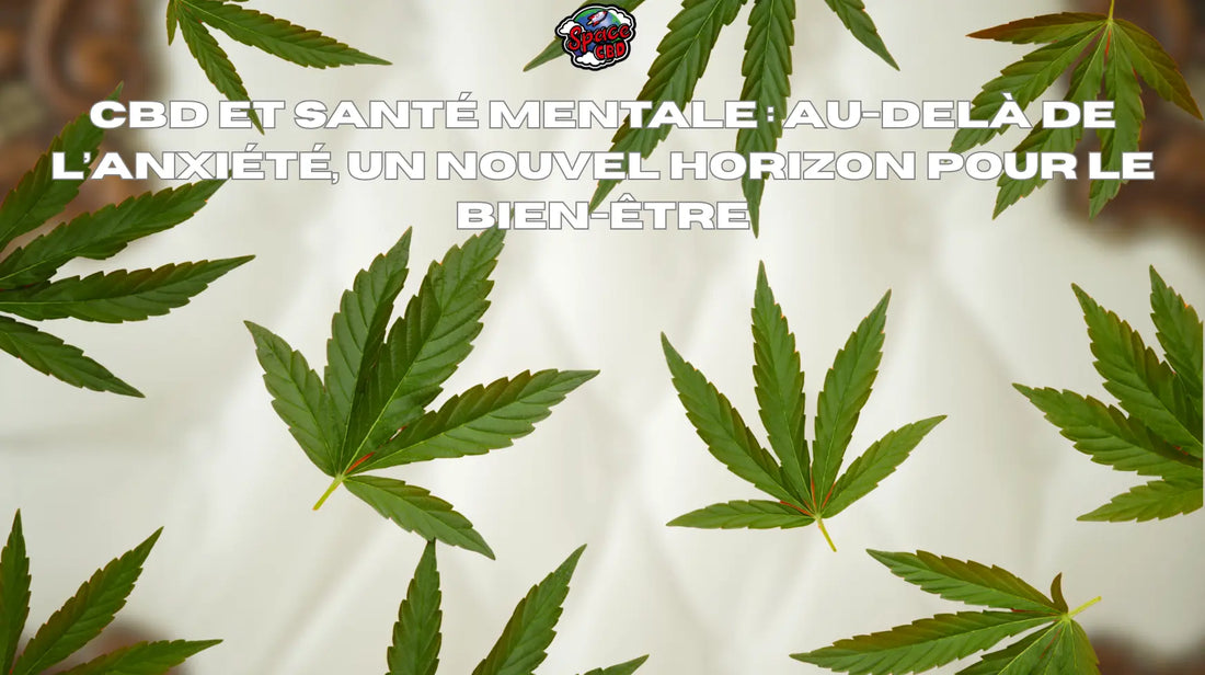 CBD et santé mentale : au-delà de l’anxiété, un nouvel horizon pour le bien-être Space CBD France