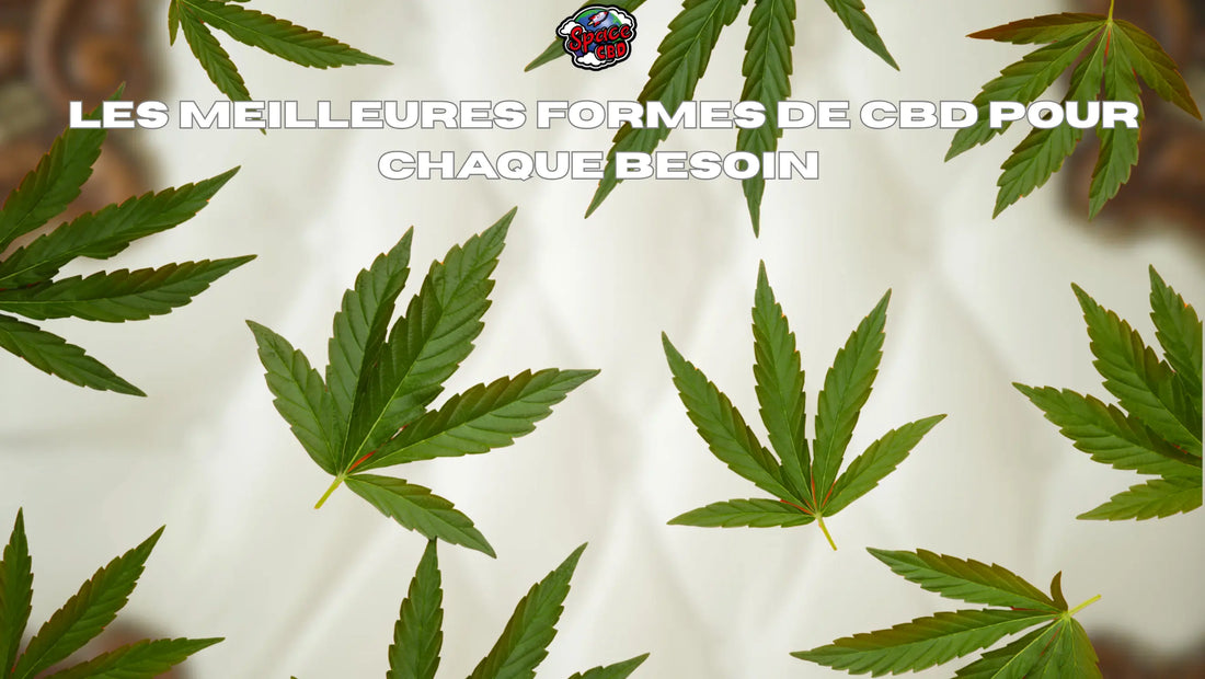 Les meilleures formes de CBD pour chaque besoin Space CBD France