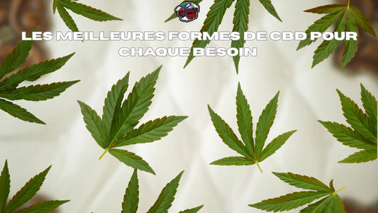 Les meilleures formes de CBD pour chaque besoin Space CBD France