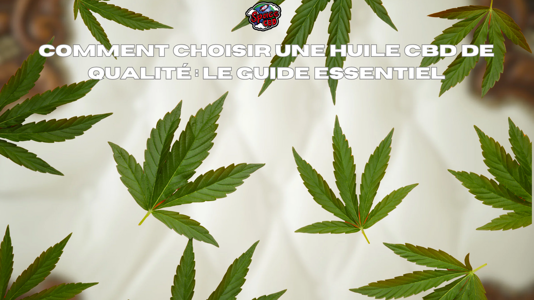 Comment choisir une huile CBD de qualité : le guide essentiel