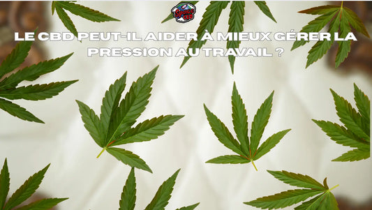Le CBD peut-il aider à mieux gérer la pression au travail ? Space CBD France