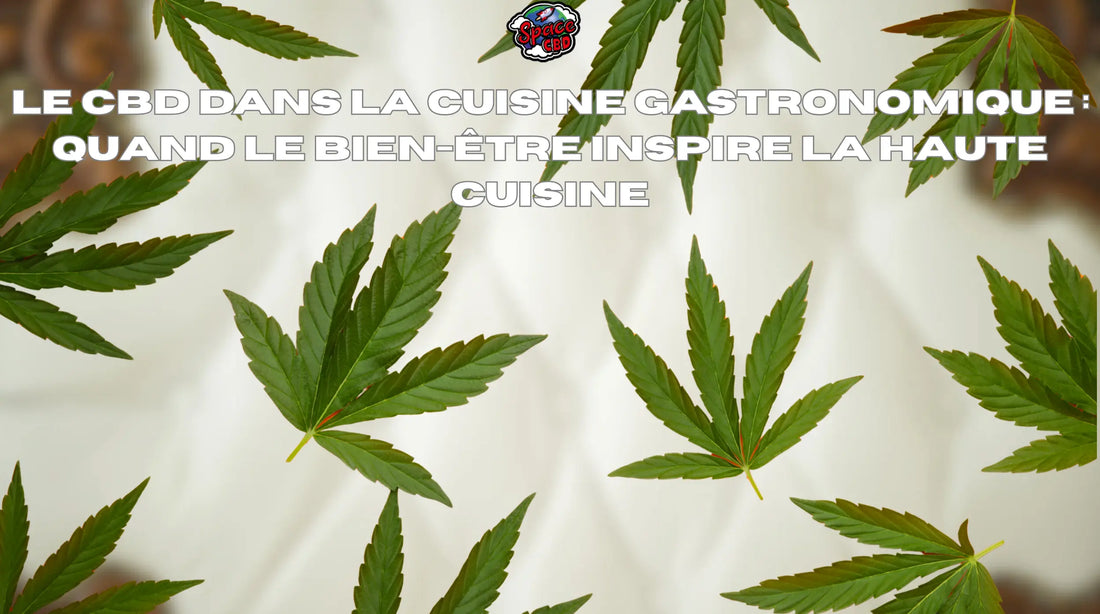 Le CBD dans la cuisine gastronomique : quand le bien-être inspire la haute cuisine Space CBD France