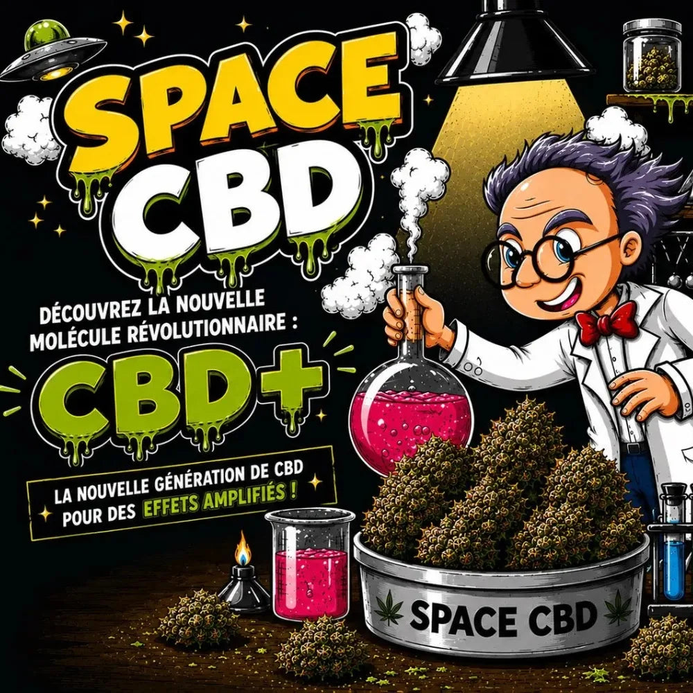 Le Guide Ultime du CBD+ Space CBD France