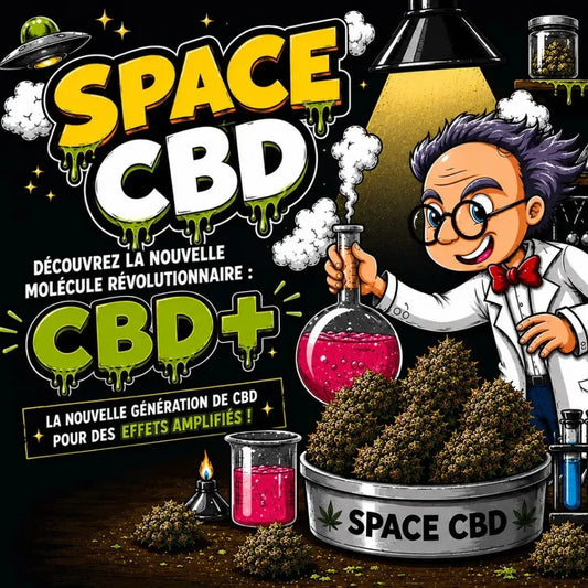 Le Guide Ultime du CBD+ Space CBD France