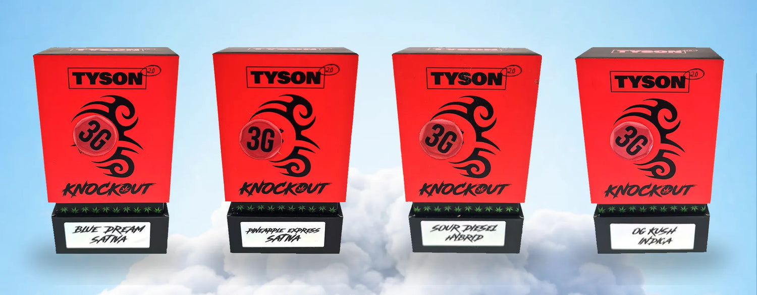 Tyson 2.0