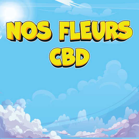 Pack Découverte Space Fleurs & Résines CBD