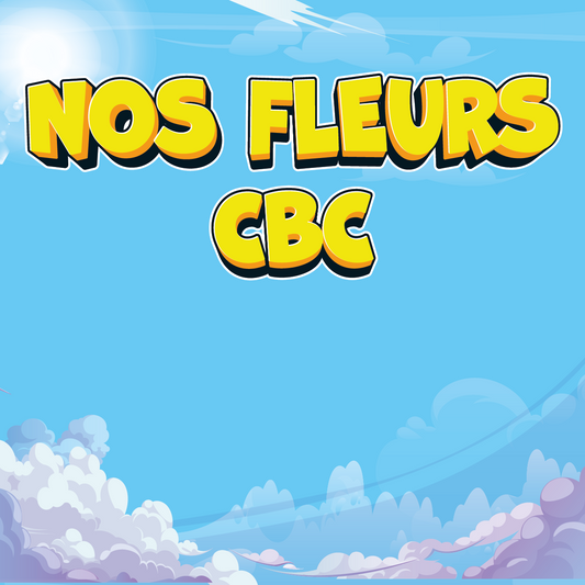 Pack Découverte Space Fleurs & Résines CBC