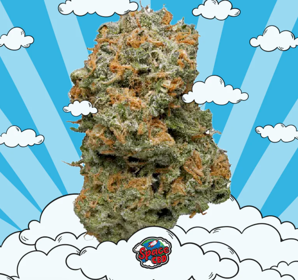 1 G de CBD Gratuit