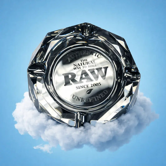 Cendrier RAW Darkside Raw